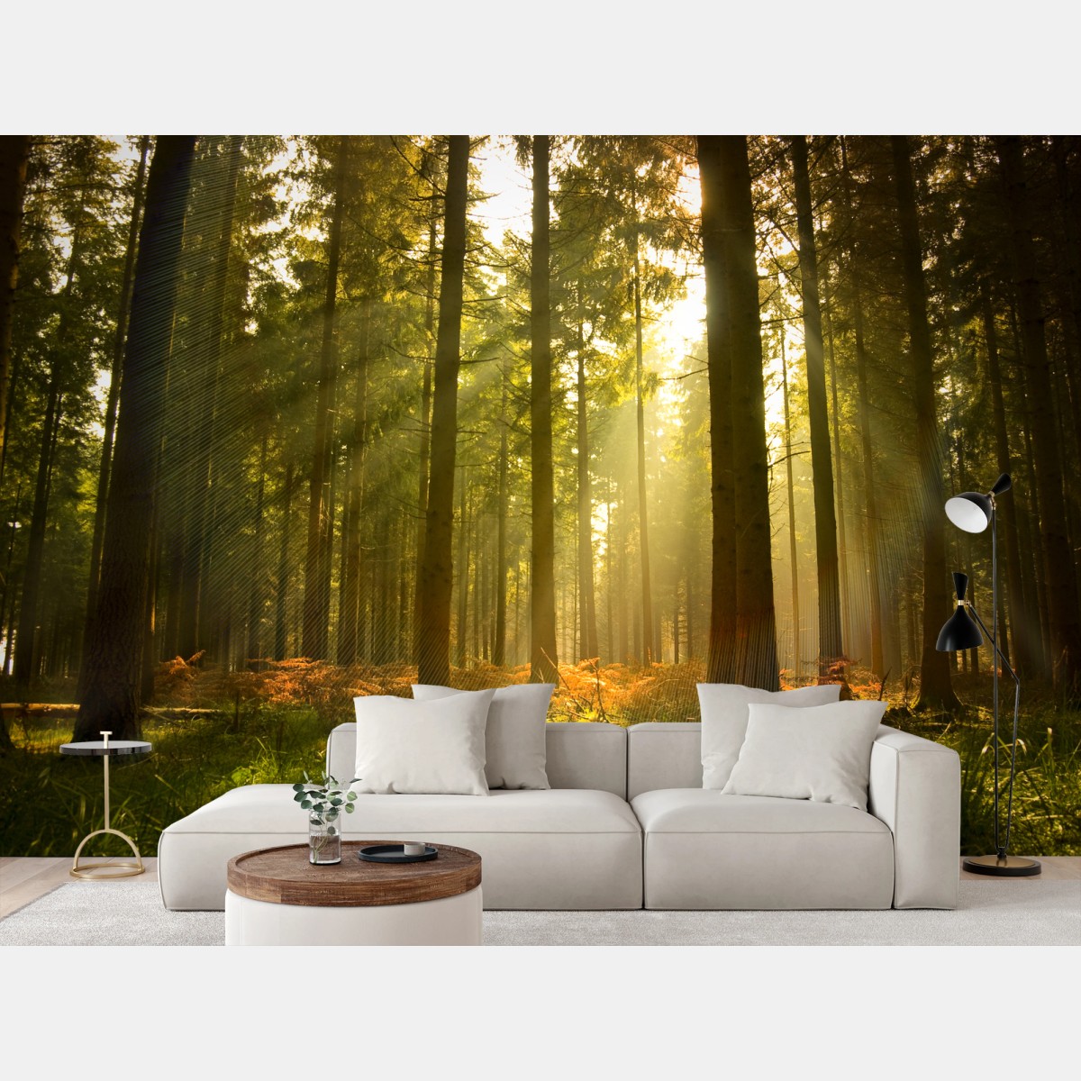 Fototapete goldener wald bei dämmerung – Wallnifity®