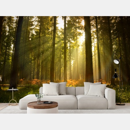 Fototapete goldener wald bei dämmerung – Wallnifity®