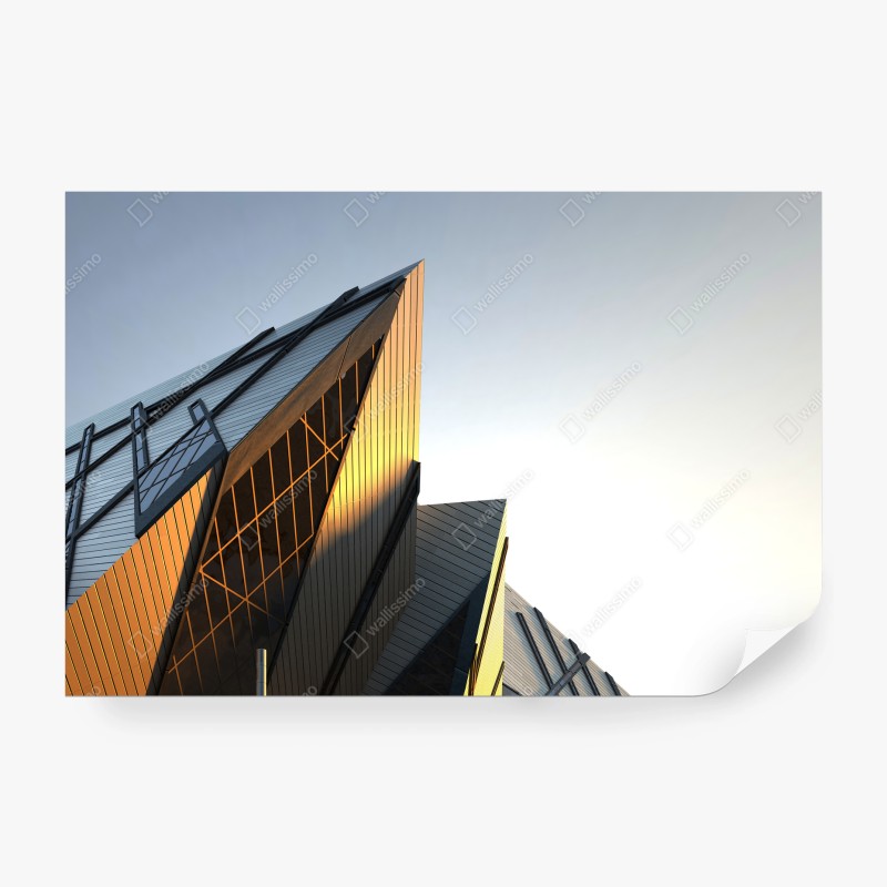 Fototapeten – Wallnifity®