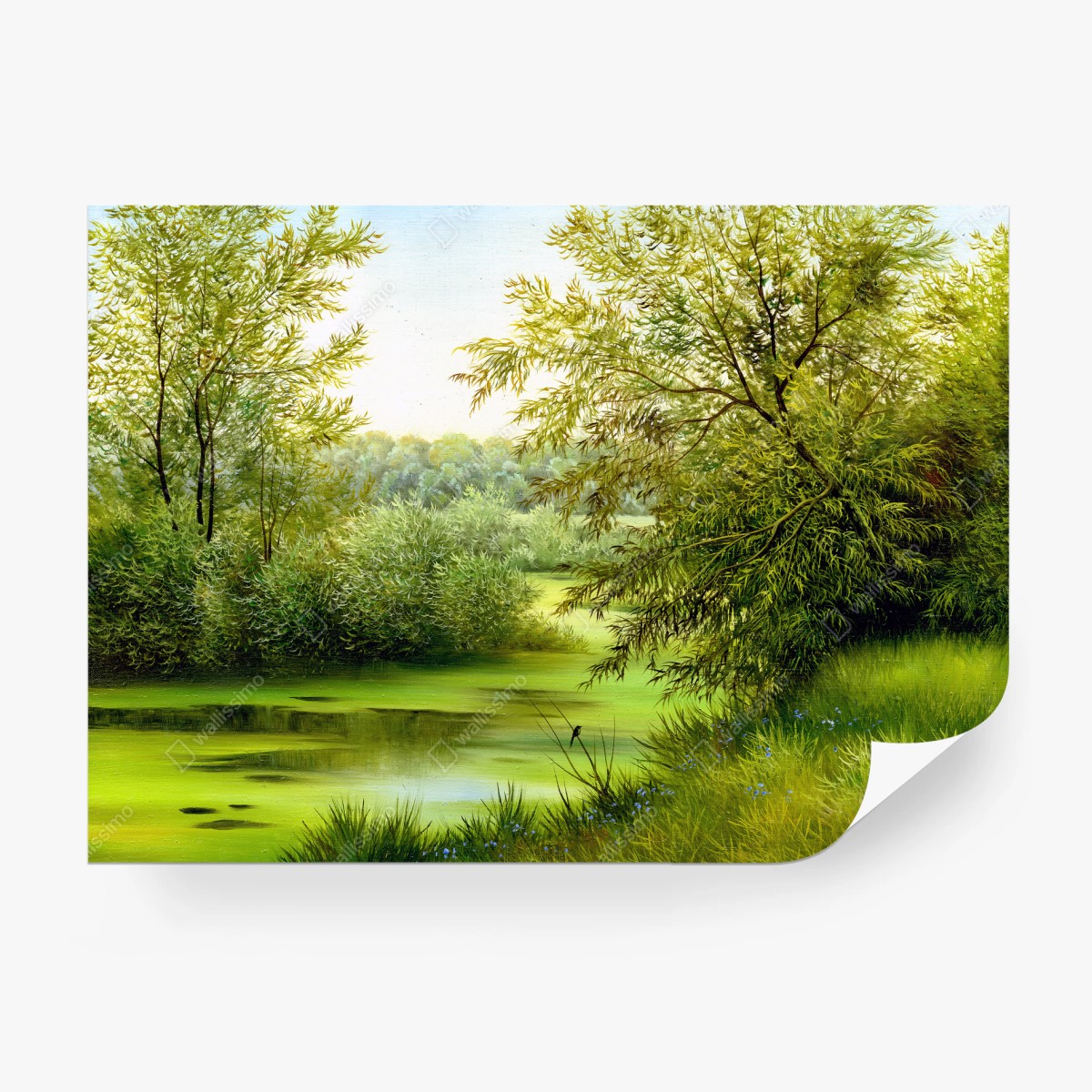 Fototapete friedlicher sommersee im wald – Wallnifity® Fototapete friedlicher sommersee im wald – Wallnifity®