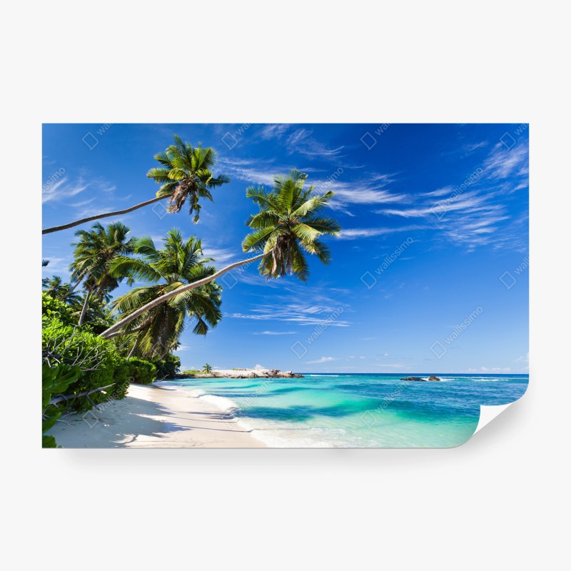 Strand – Wallnifity®