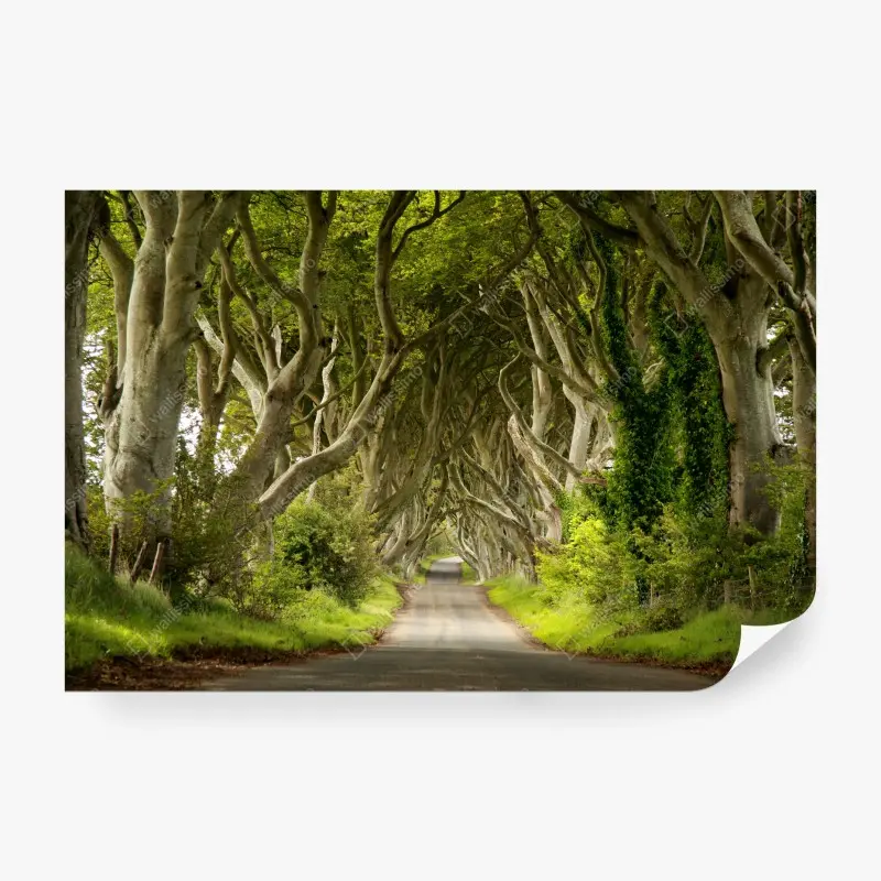 Natur – Wallnifity®