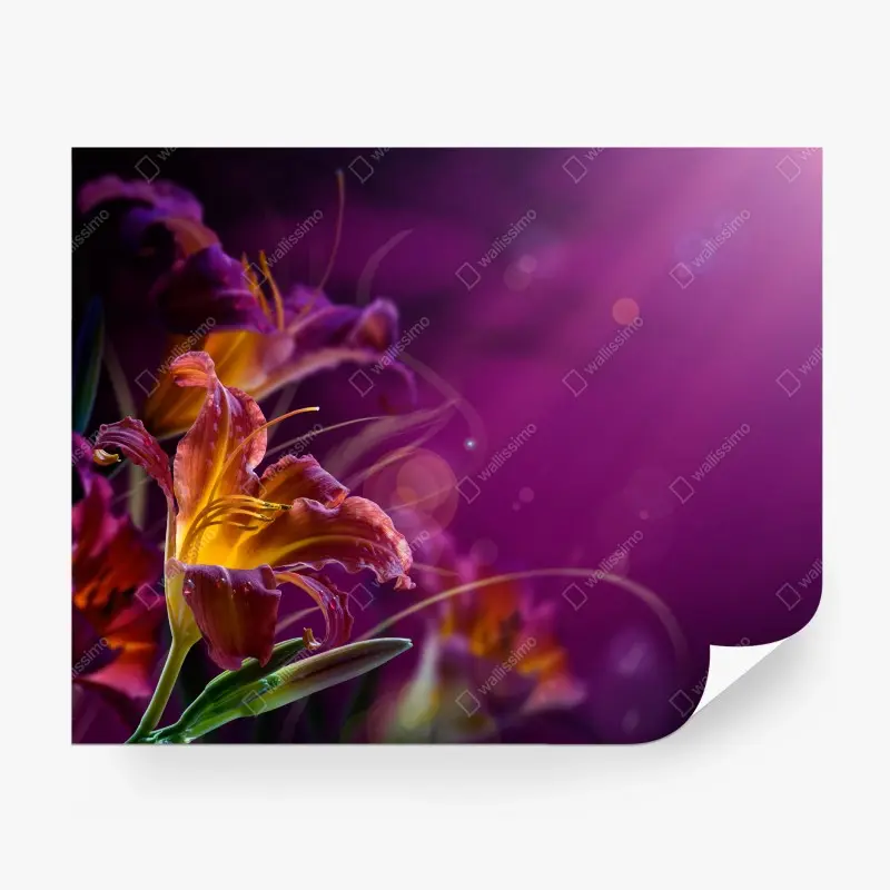 Wohnzimmer – Wallnifity®