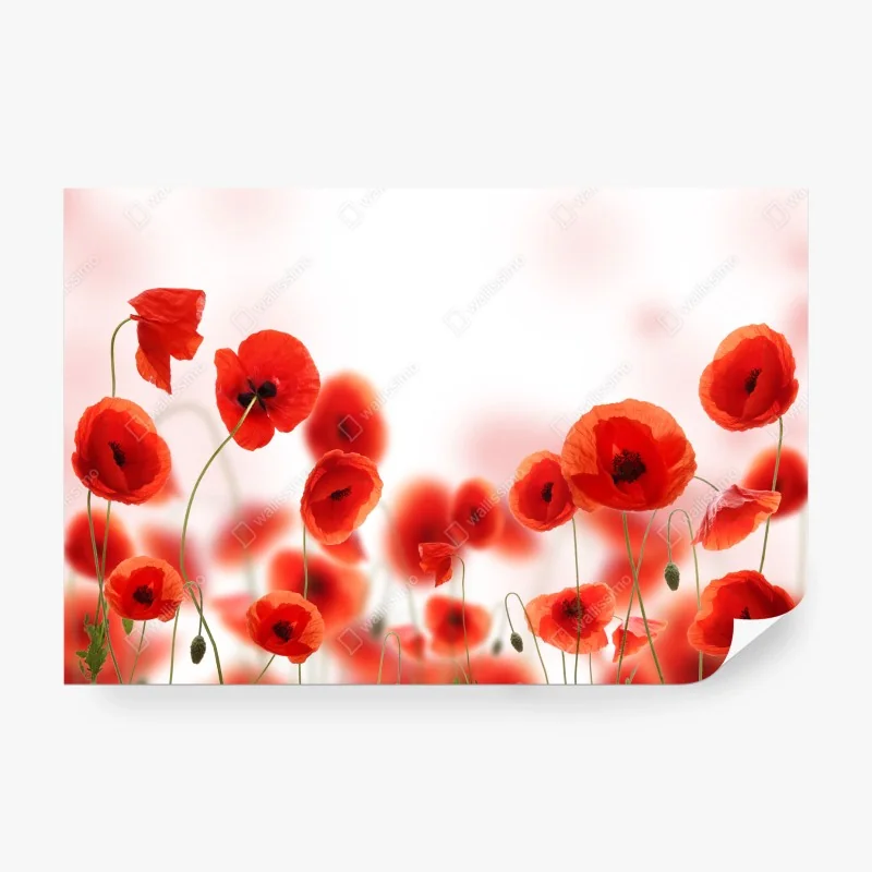 Blumen – Wallnifity®