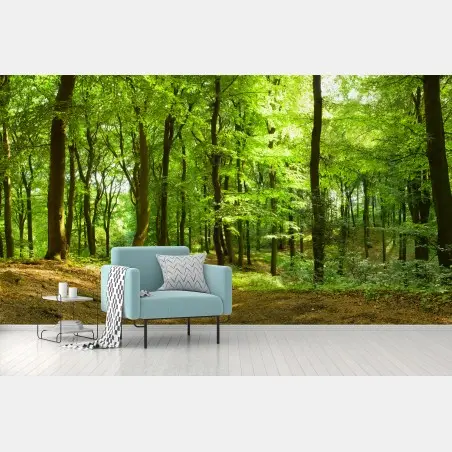 Fototapete ruhiger grüner waldweg – Wallnifity®