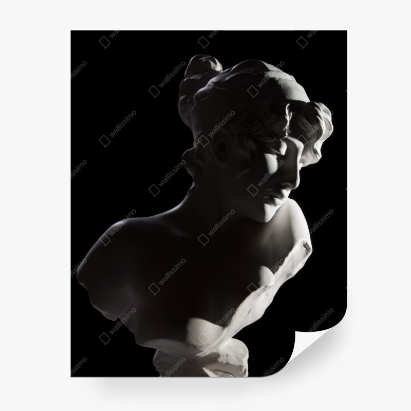Kunst – Wallnifity®