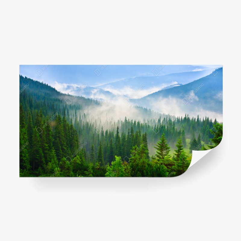 Natur – Wallnifity®