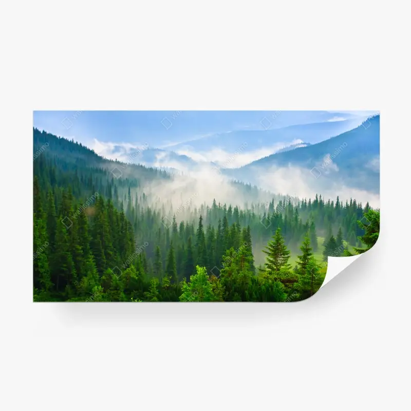 Fototapeten – Wallnifity®
