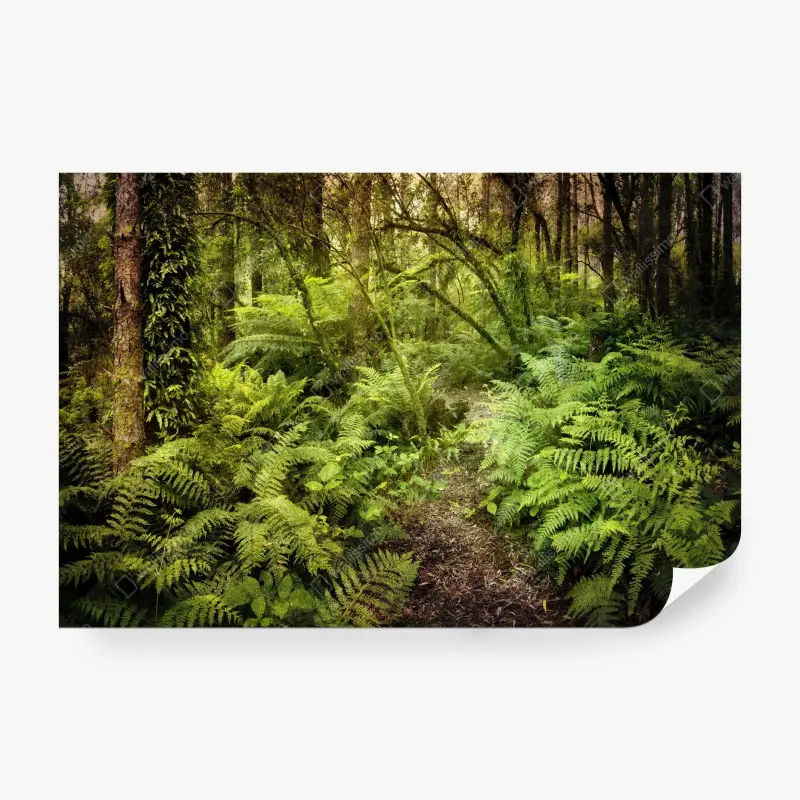 Natur – Wallnifity®