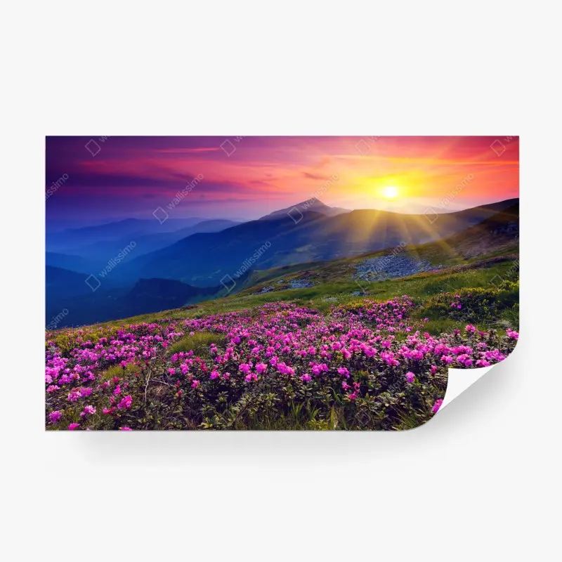 Blumen – Wallnifity®