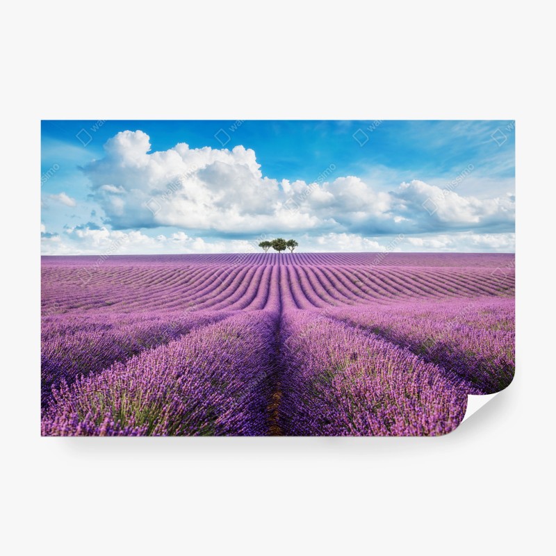 Blumen – Wallnifity®