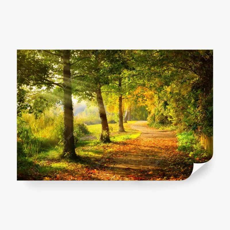 Fototapeten – Wallnifity®