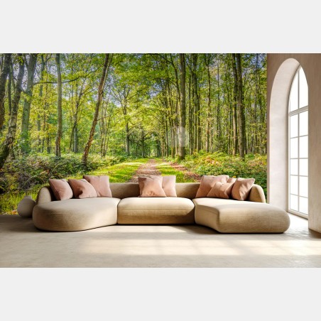 Fototapete sonniger waldweg – Wallnifity®