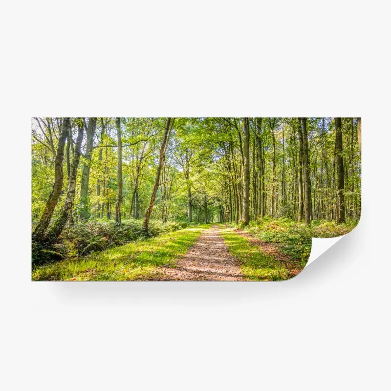 Natur – Wallnifity®
