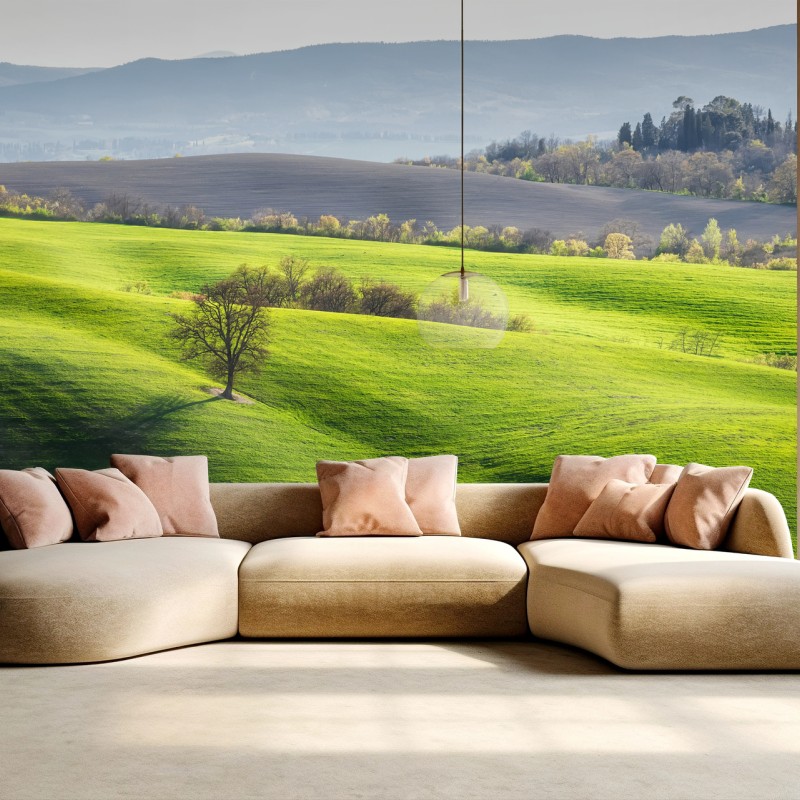 Rustikal – Wallnifity®