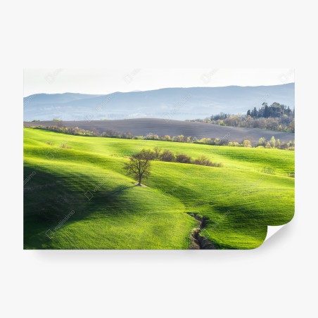 Fototapete Toskana grüne hügel – Wallnifity®