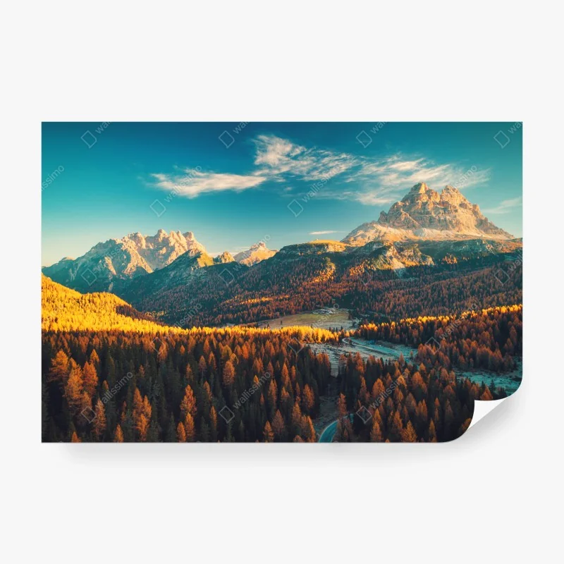 Fototapeten – Wallnifity®