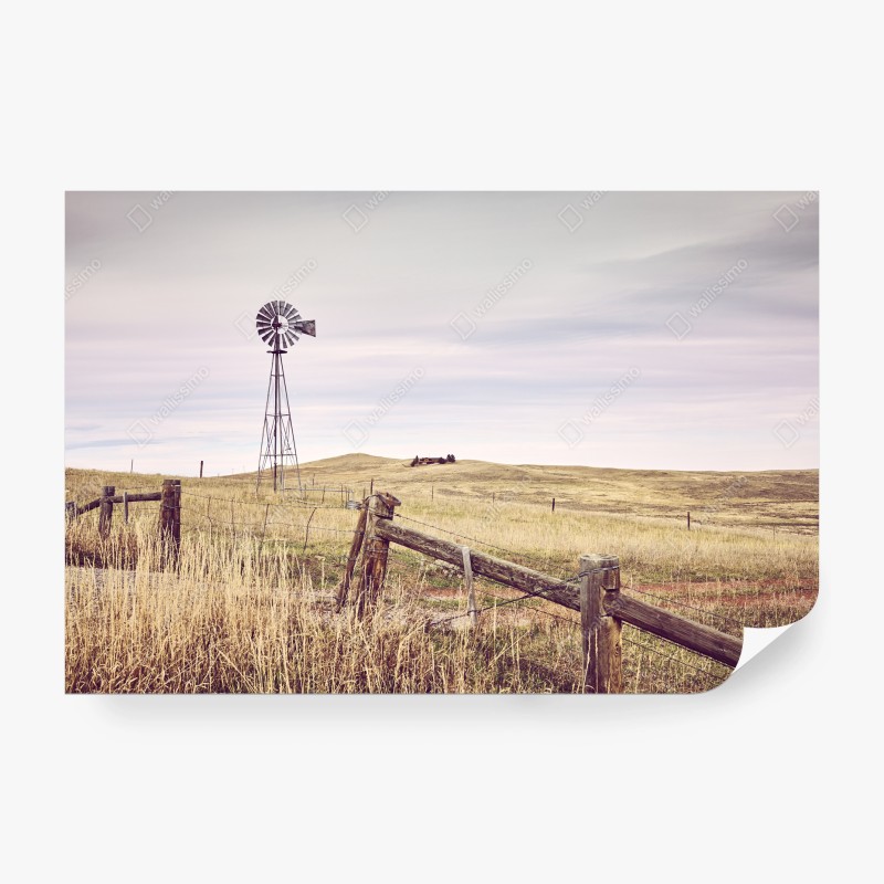 Fototapeten – Wallnifity®