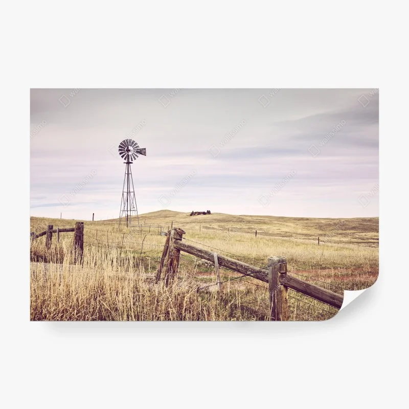 Fototapeten – Wallnifity®