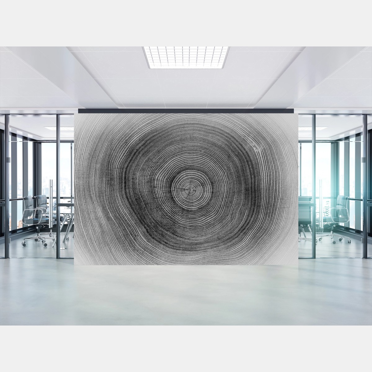 Fototapete monochrome baumringe textur – Wallnifity®
