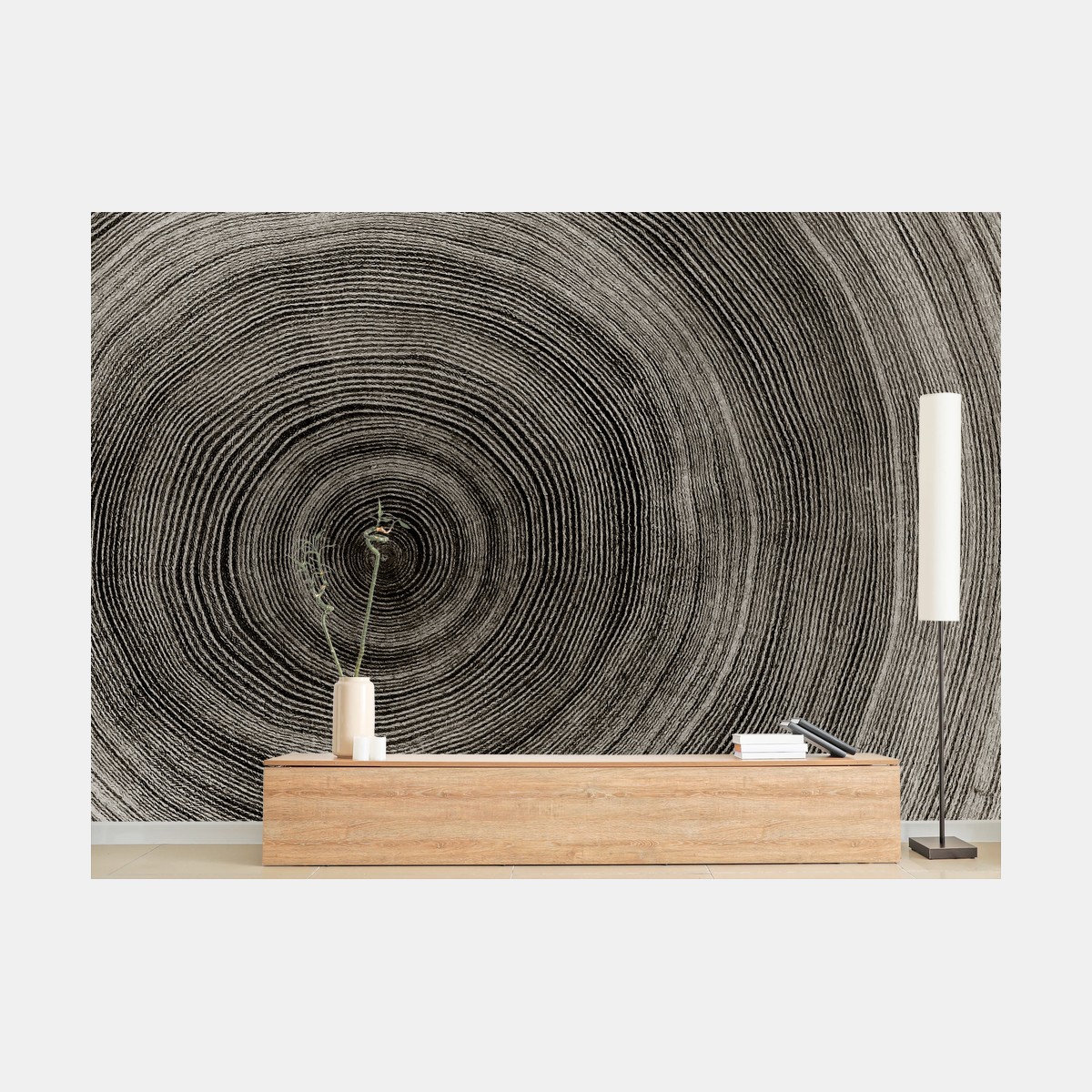 Fototapete konzentrische baumringe holzstruktur – Wallnifity®