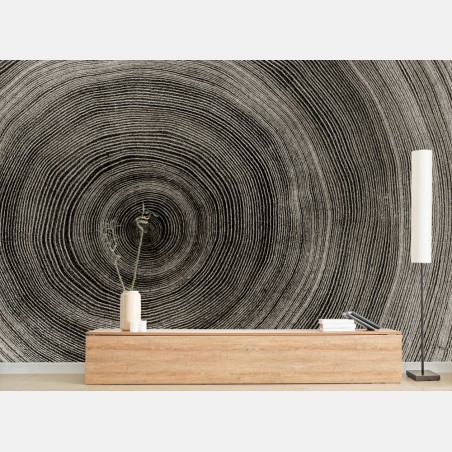 Fototapete konzentrische baumringe holzstruktur – Wallnifity®