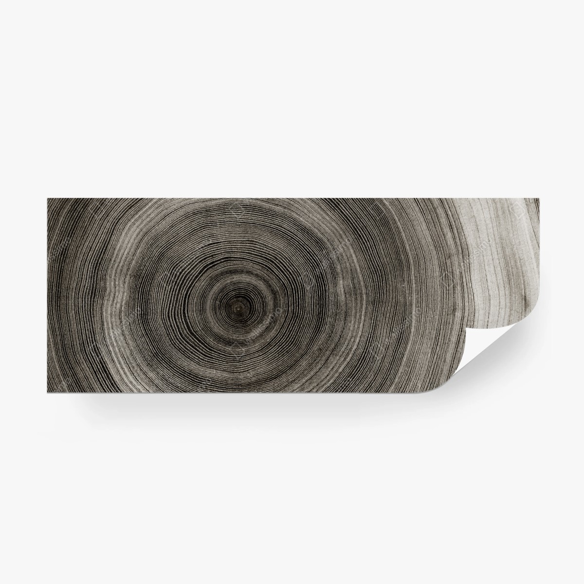Fototapete konzentrische baumringe holzstruktur – Wallnifity®