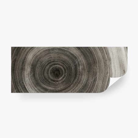 Fototapete konzentrische baumringe holzstruktur – Wallnifity®