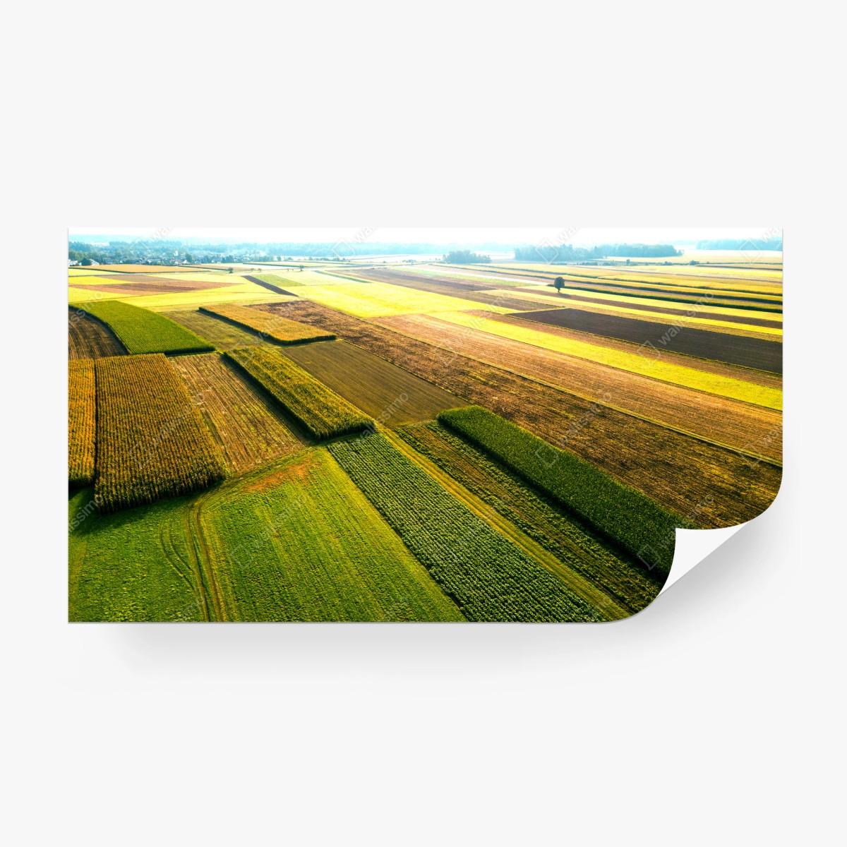 Fototapete bunte luftaufnahme von ackerland – Wallnifity® Fototapete bunte luftaufnahme von ackerland – Wallnifity®