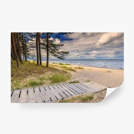 Fototapete ruhiger kiefernstrand am meer – Wallnifity®