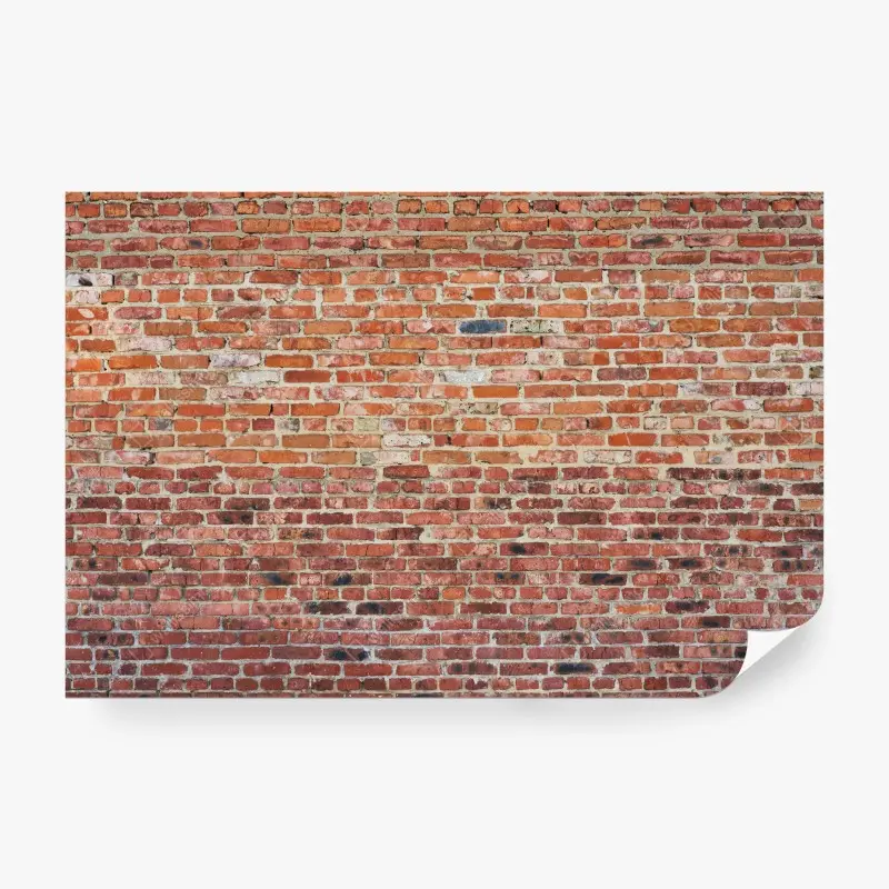 Oberflächen & Texturen – Wallnifity®