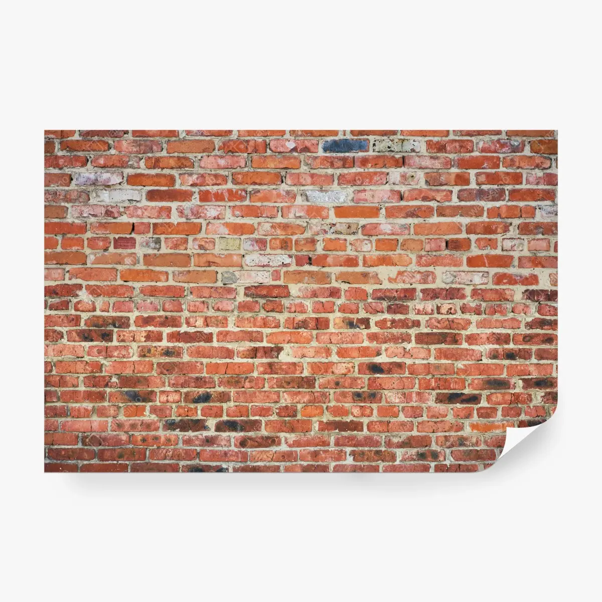 Fototapete freigelegte rote ziegelwand – Wallnifity®