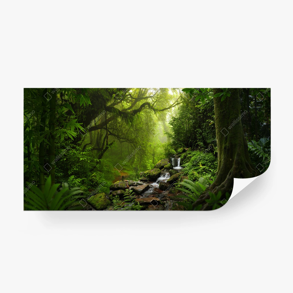 Fototapete ruhiger wasserfall im regenwald – Wallnifity®
