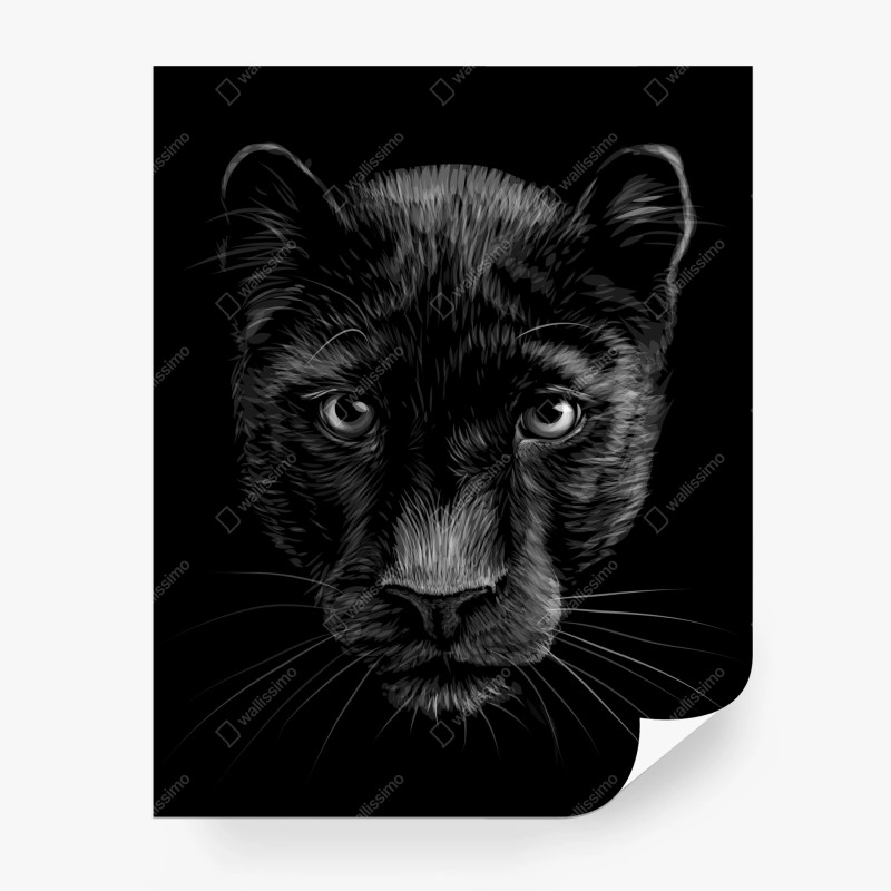 Fototapete porträt eines schwarzen panthers – Wallnifity® Fototapete porträt eines schwarzen panthers – Wallnifity®