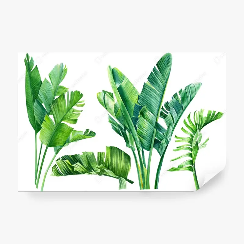 Blumen & Pflanzen – Wallnifity®