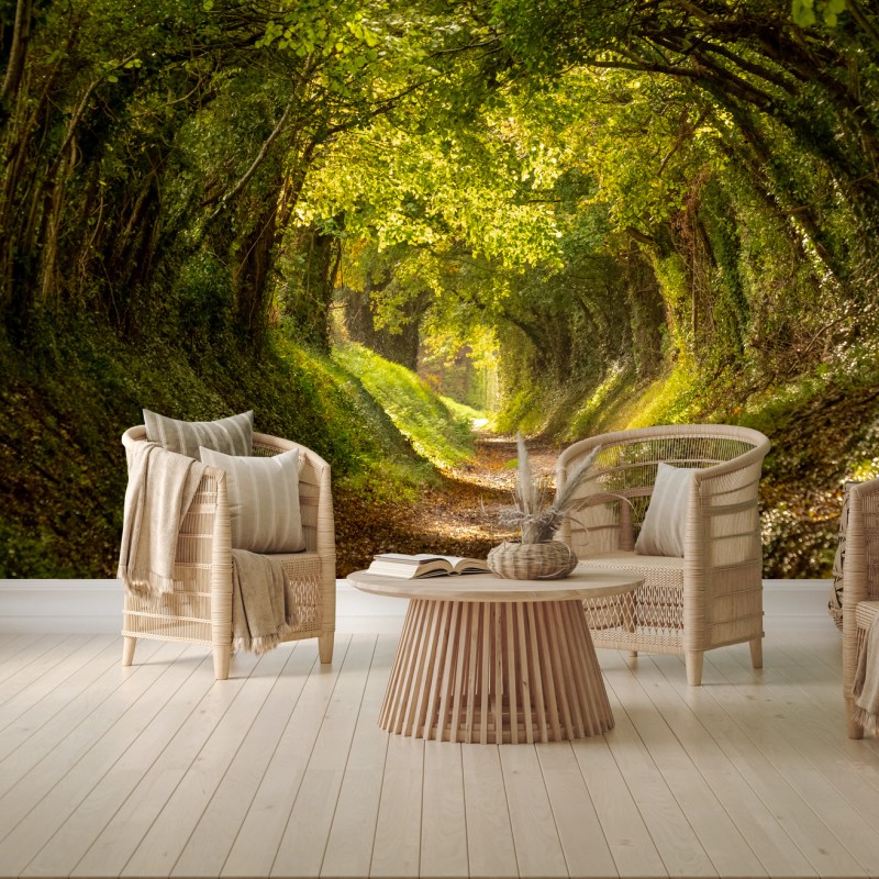 Fototapeten – Wallnifity®