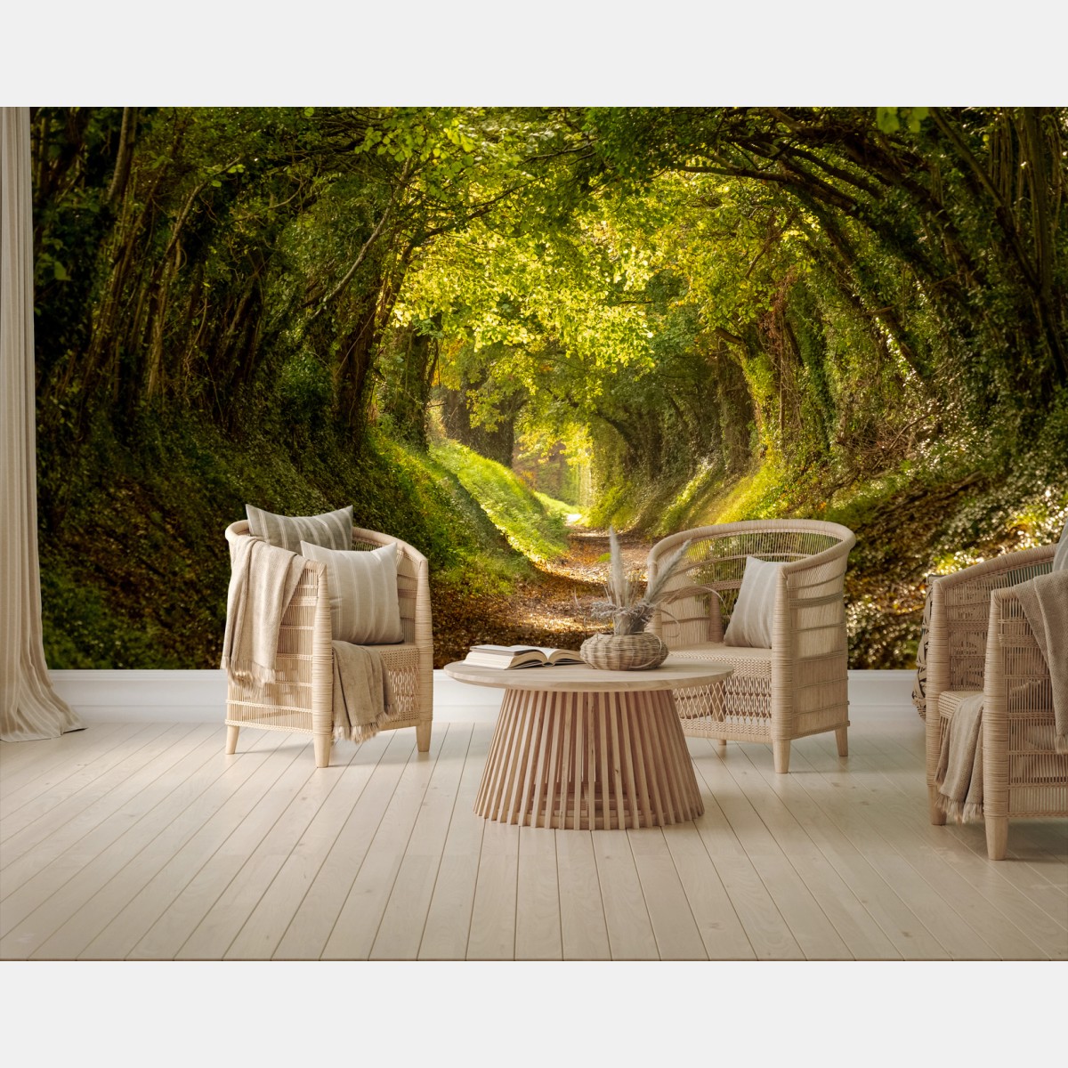 Fototapete sonniger waldtunnel – Wallnifity® Fototapete sonniger waldtunnel – Wallnifity®