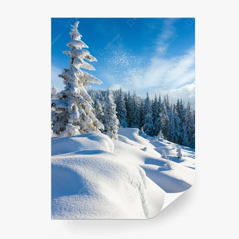 Berge – Wallnifity®