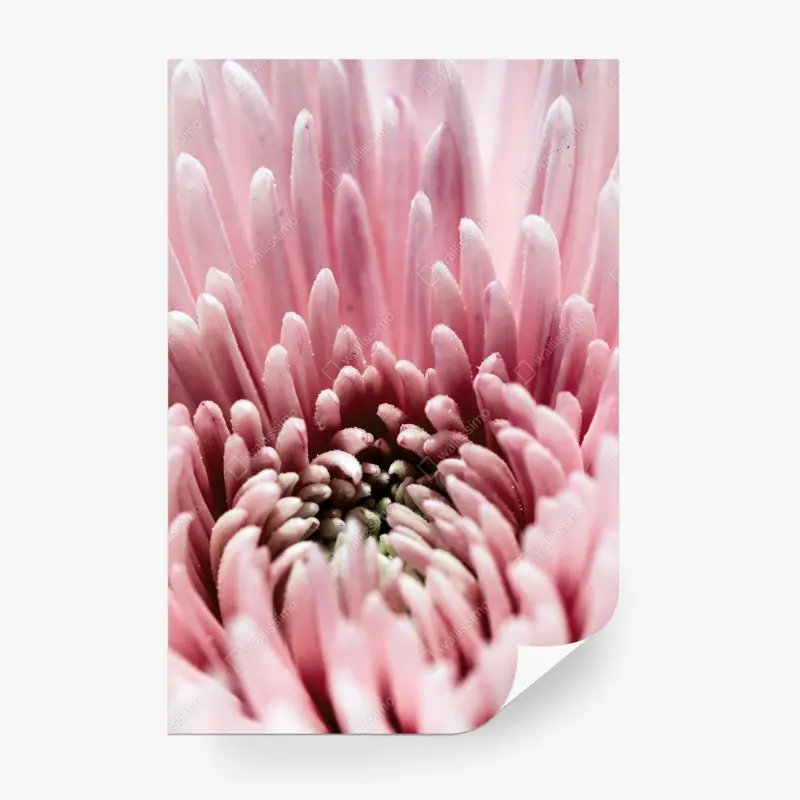 Blumen & Pflanzen – Wallnifity®