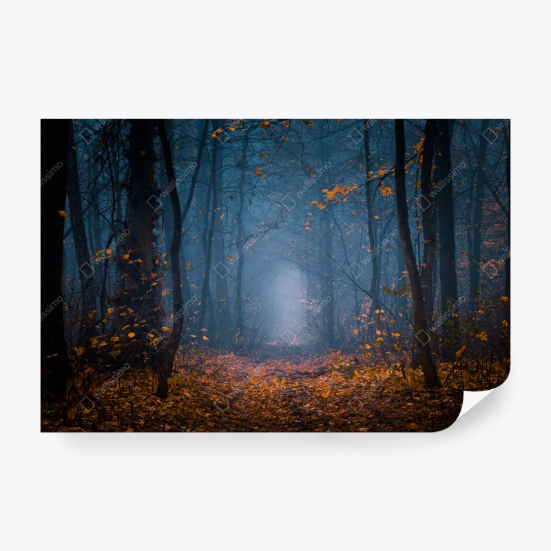 Natur – Wallnifity®