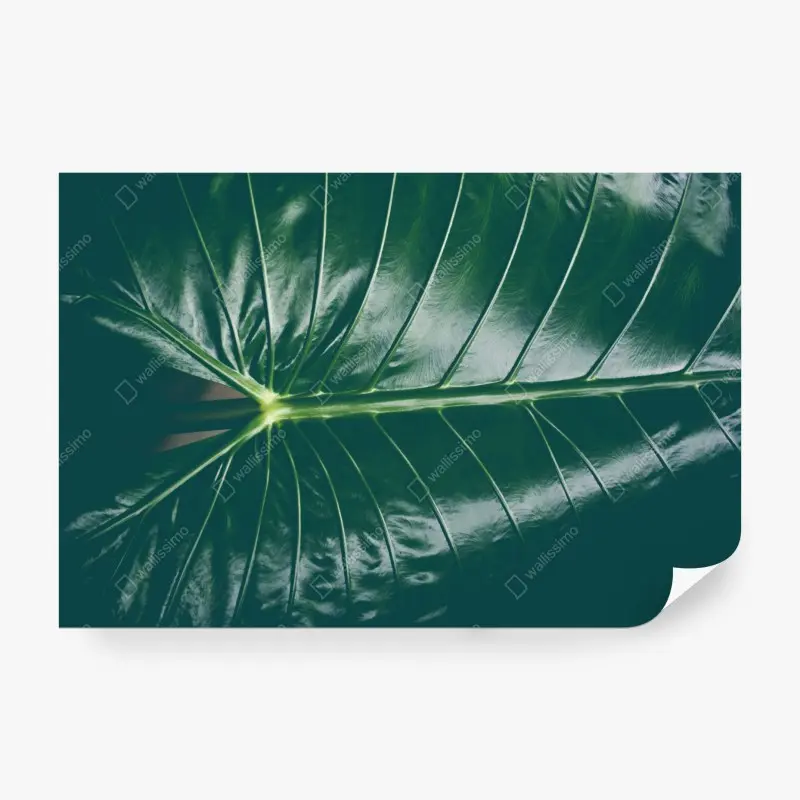Wohnzimmer – Wallnifity®