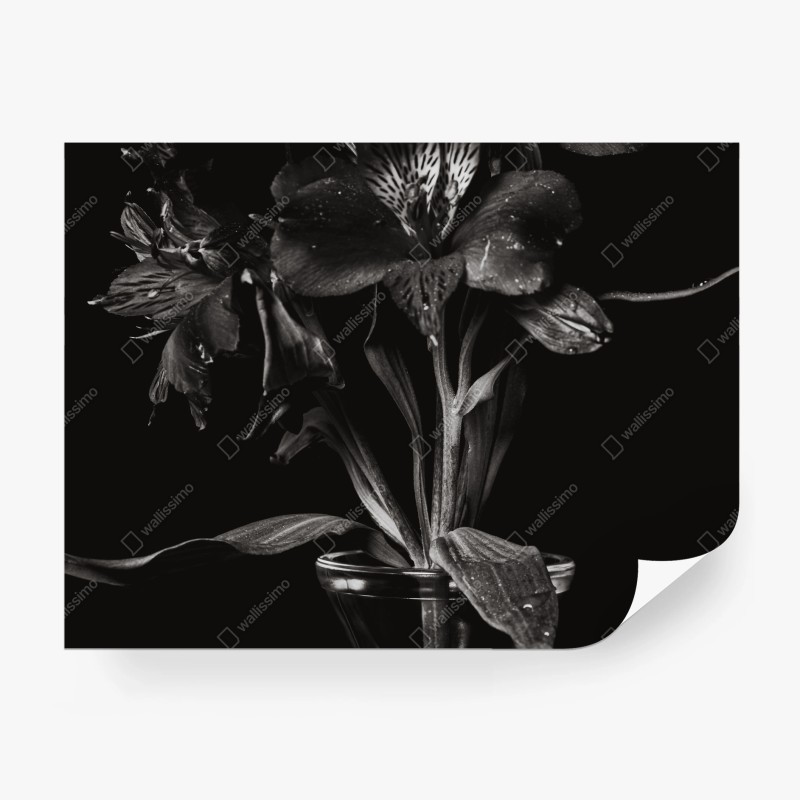 Blumen – Wallnifity®