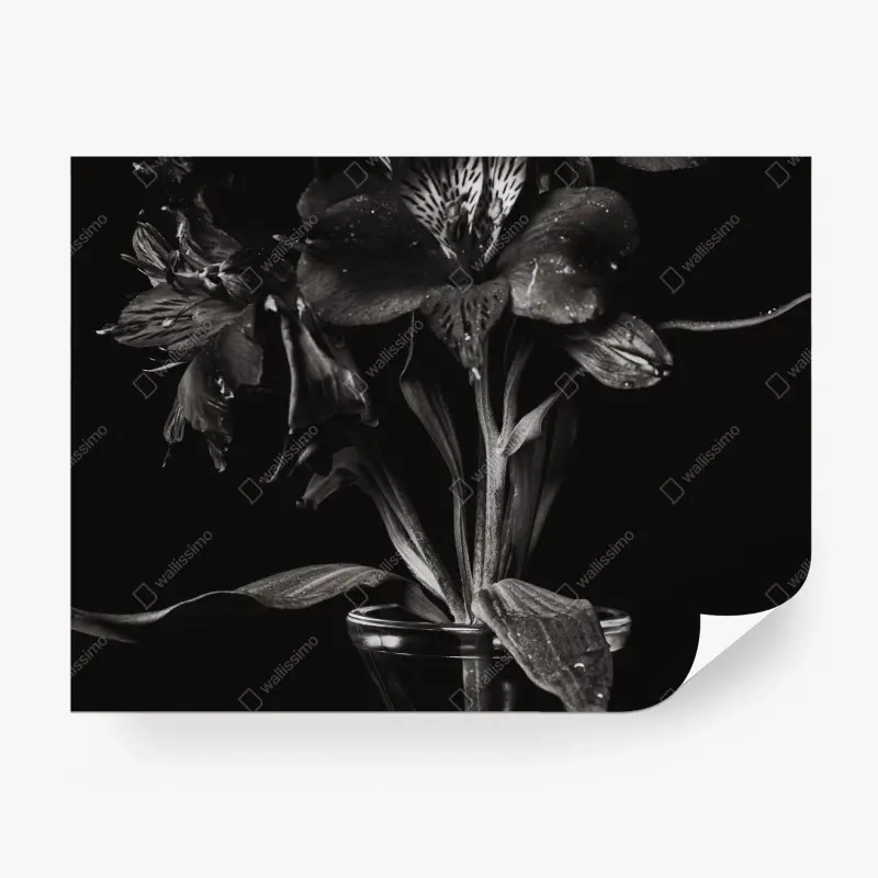 Blumen & Pflanzen – Wallnifity®