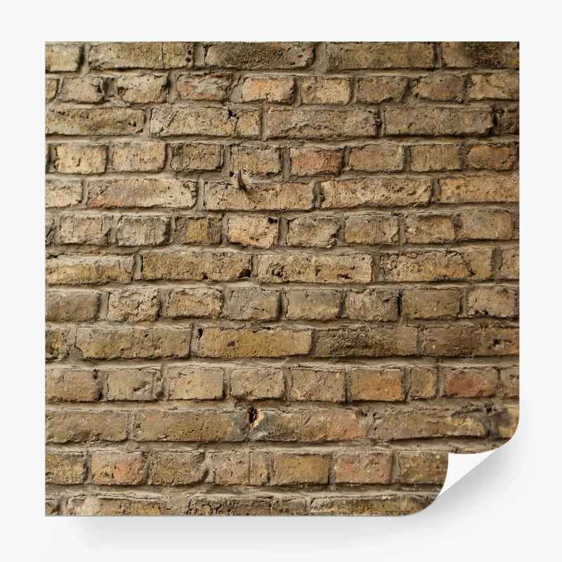 Fototapeten – Wallnifity®