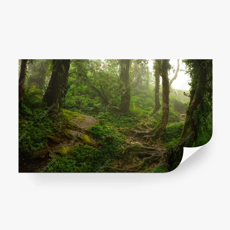 Natur – Wallnifity®