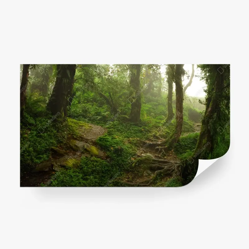 Wälder – Wallnifity®