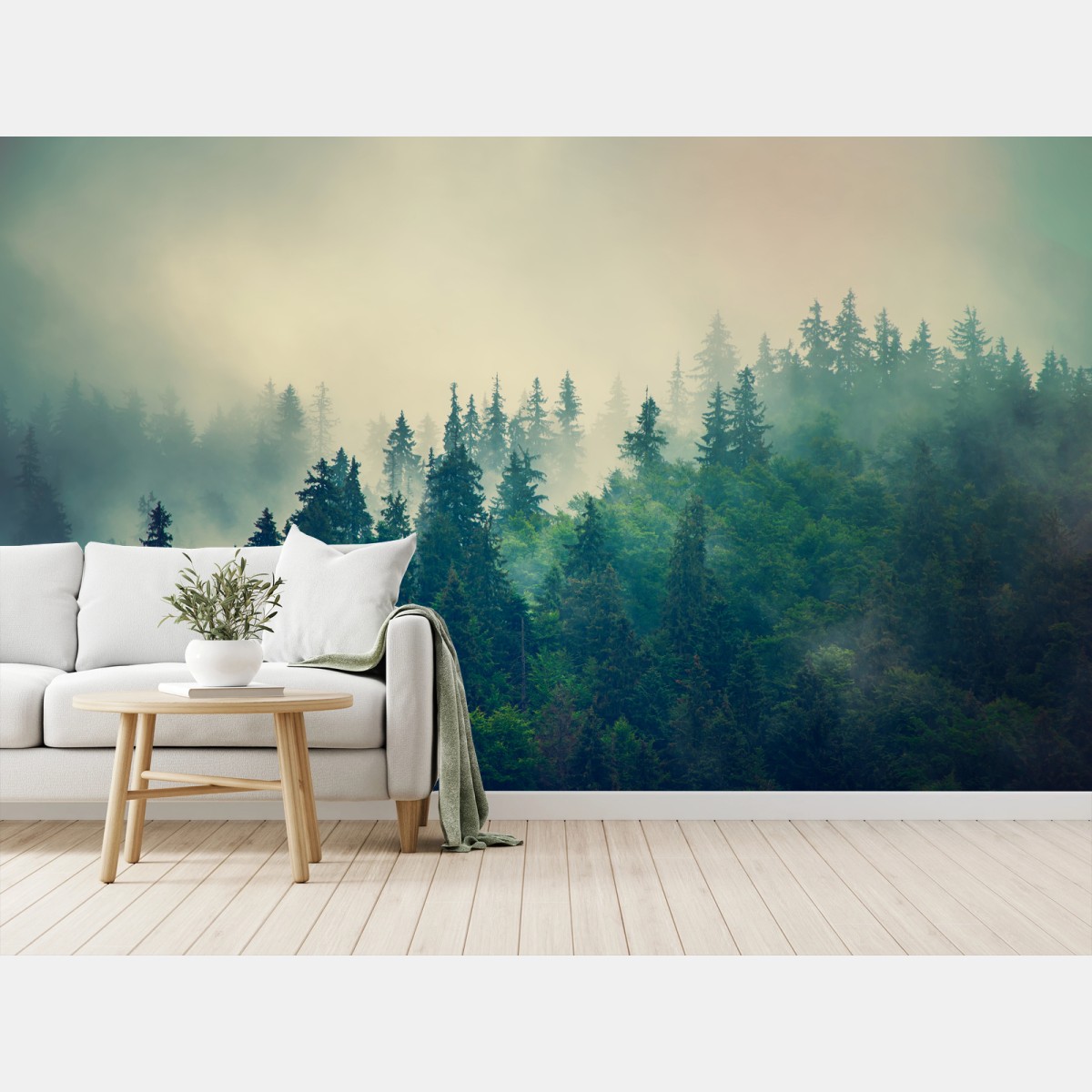 Fototapete nebliger nadelwald am morgen – Wallnifity®