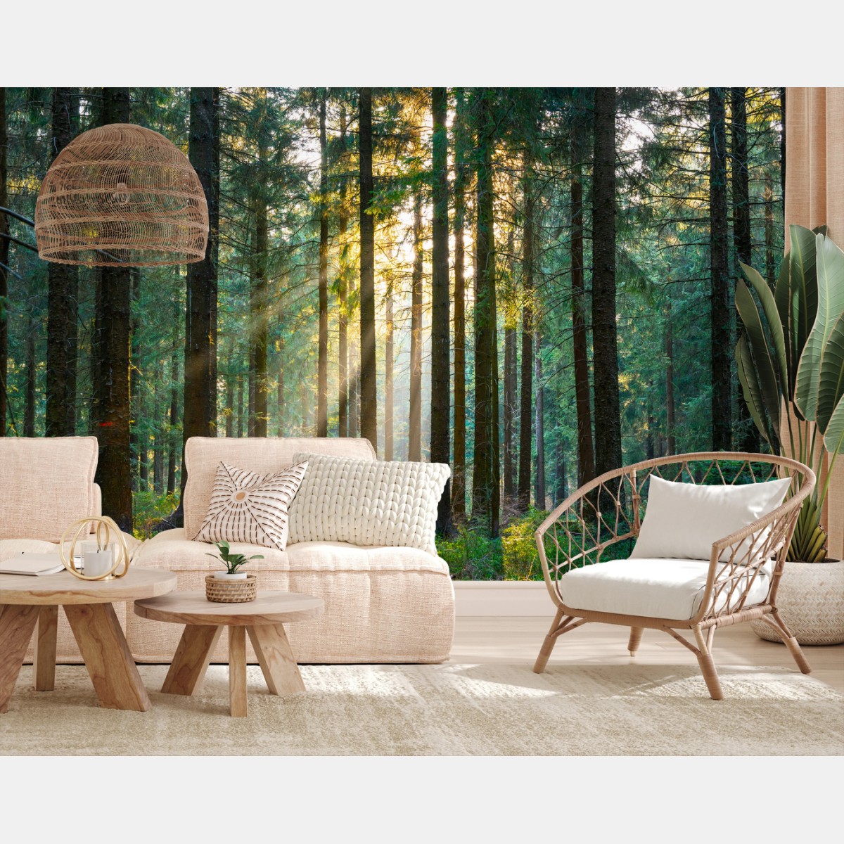 Fototapete stiller wald im sonnenlicht – Wallnifity®