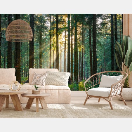 Fototapete stiller wald im sonnenlicht – Wallnifity®