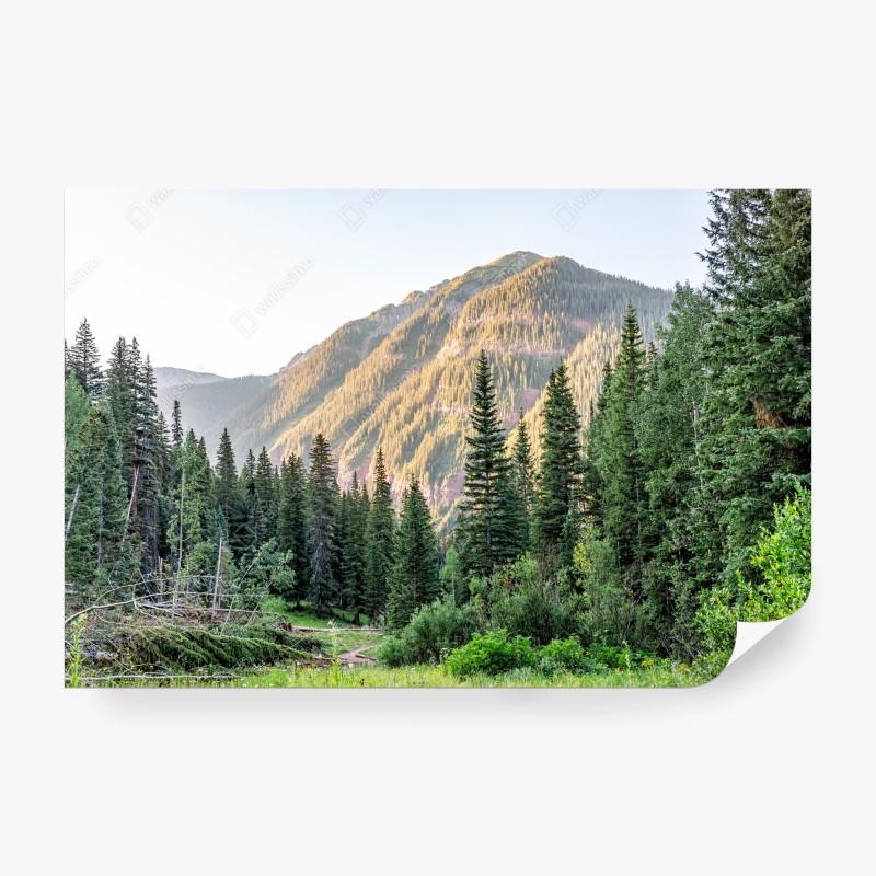 Natur – Wallnifity®
